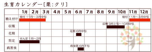 栗生育カレンダー