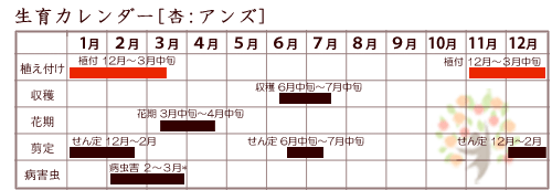 杏生育カレンダー