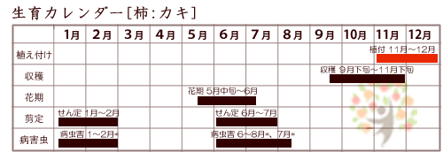 柿生育カレンダー