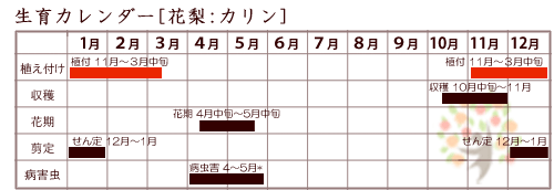 花梨生育カレンダー