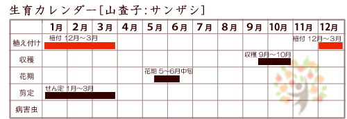 サンザシ(山査子)生育カレンダー