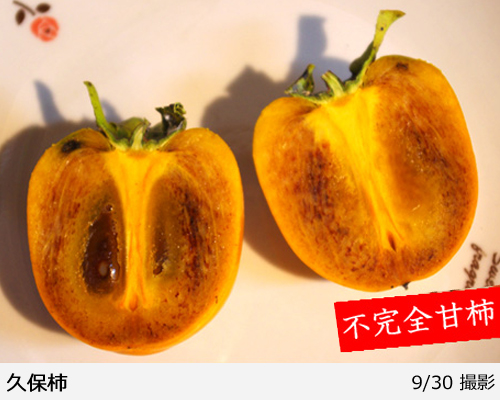 久保(mh)様ご予約分次郎柿7B１０キロオマケ付き！ 2026年11月予約】幻の柿 次郎柿！木成り完熟の逸品6個入り（1.5kg